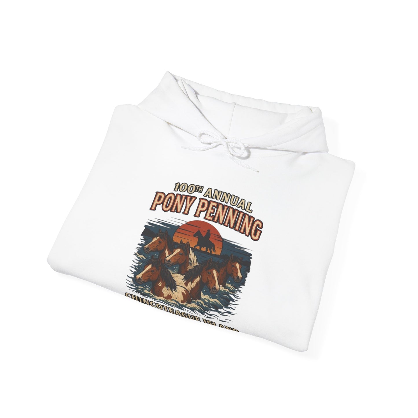 CI100 2025 100th Annual Pony Penning Front Hoodie