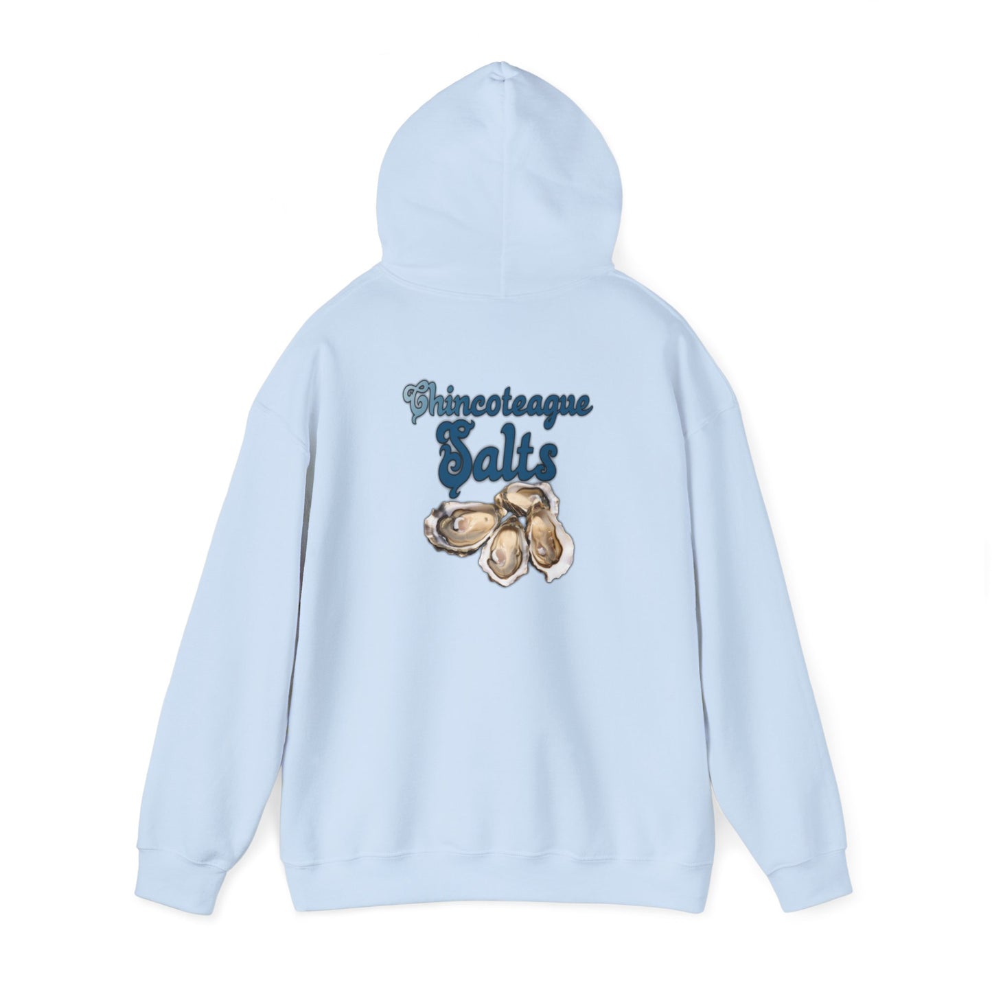 CI100 2024 Salts Back Heavy Blend™ Hooded Sweatshirt