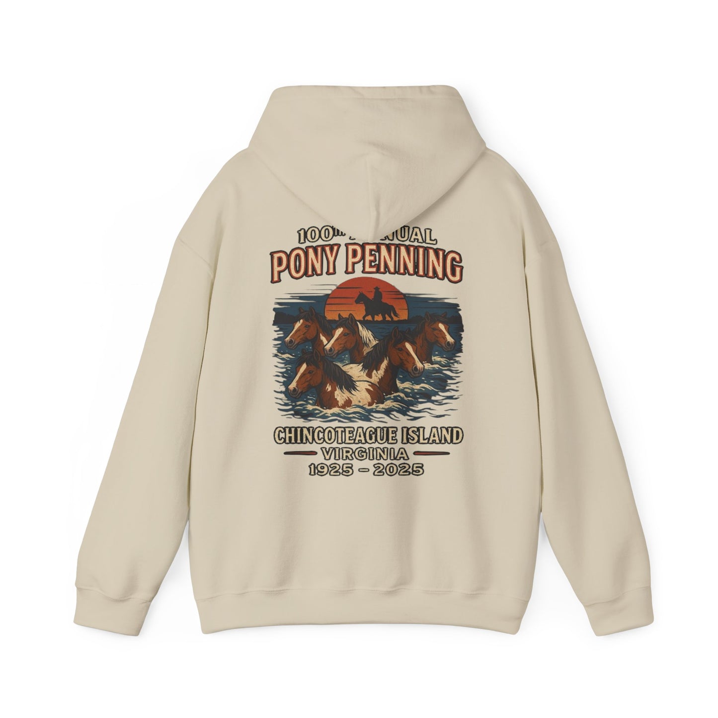 CI100 2025 100th Annual Pony Penning Back Hoodie