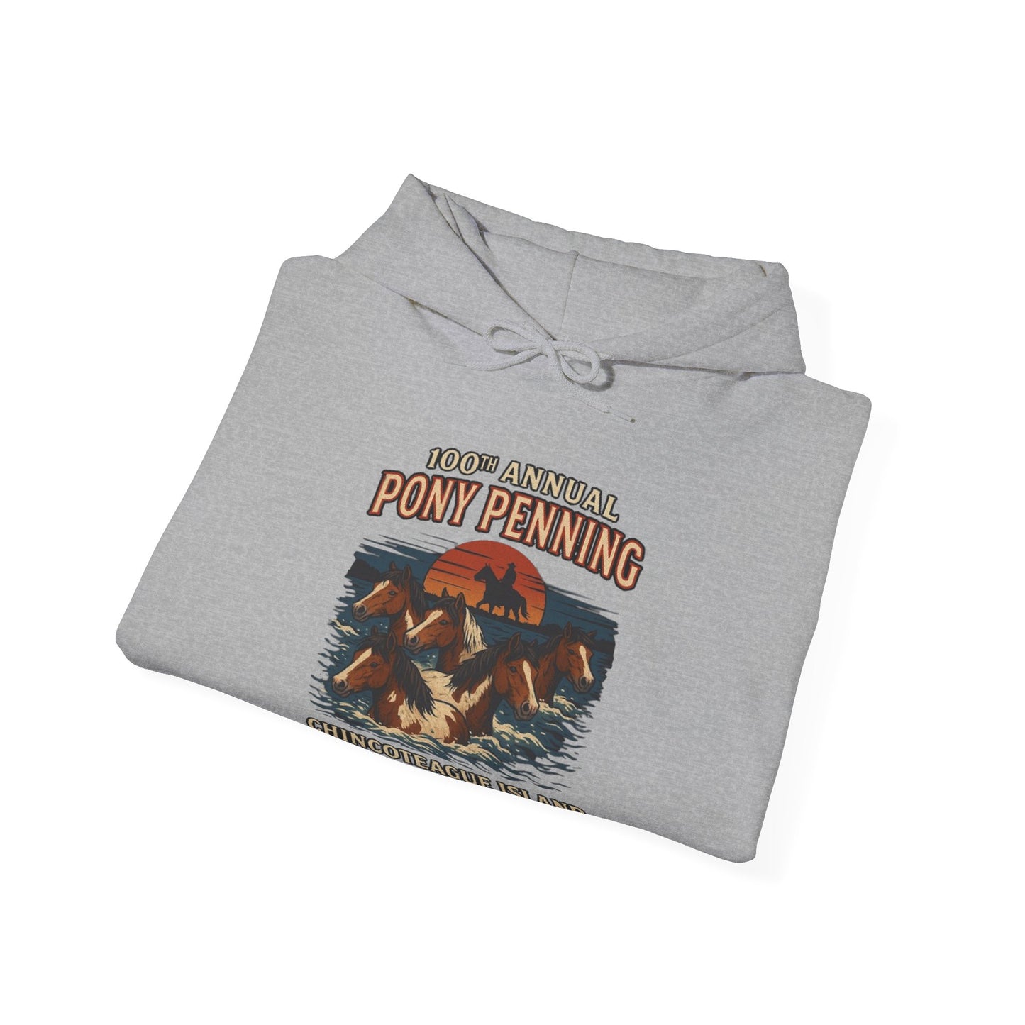 CI100 2025 100th Annual Pony Penning Front Hoodie