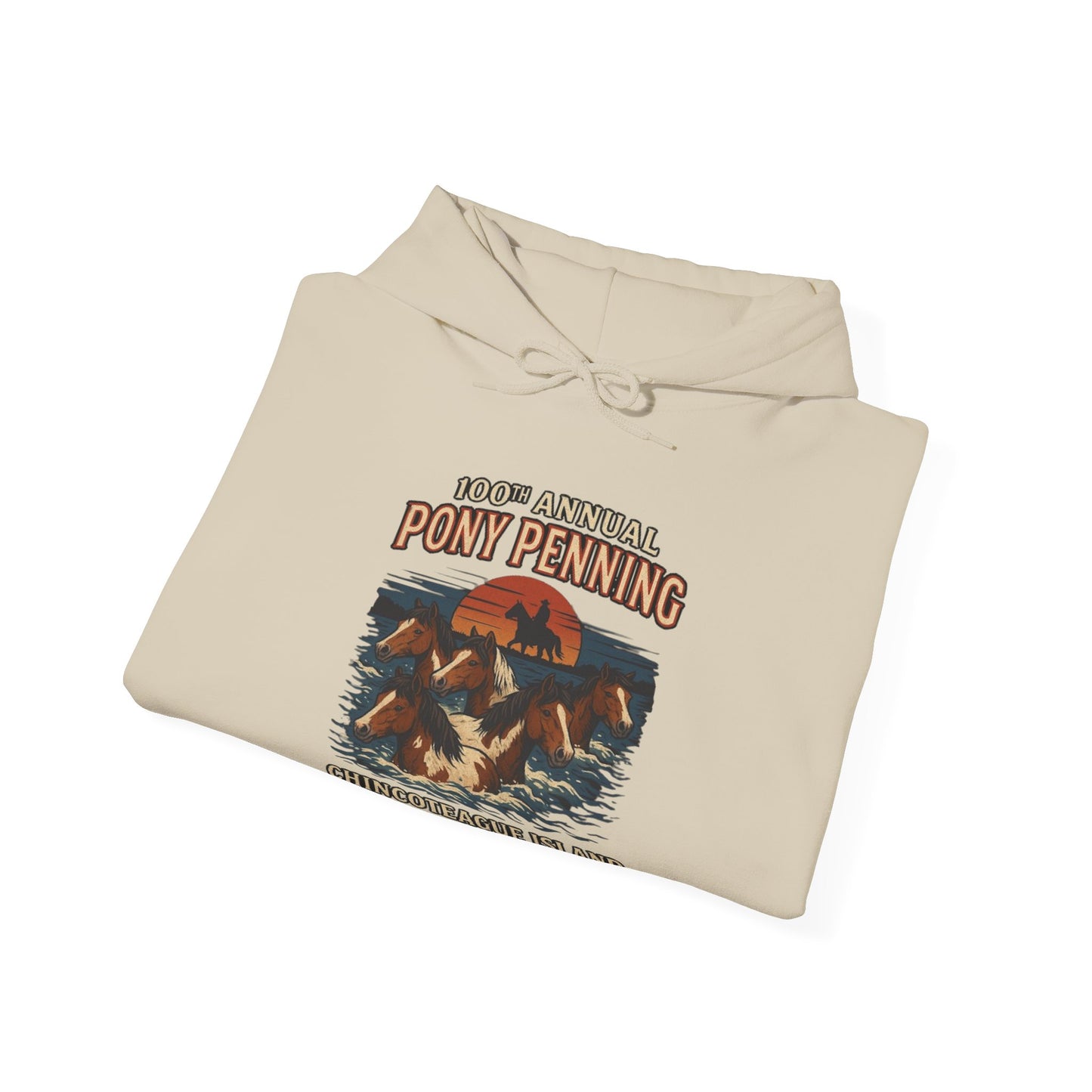 CI100 2025 100th Annual Pony Penning Front Hoodie
