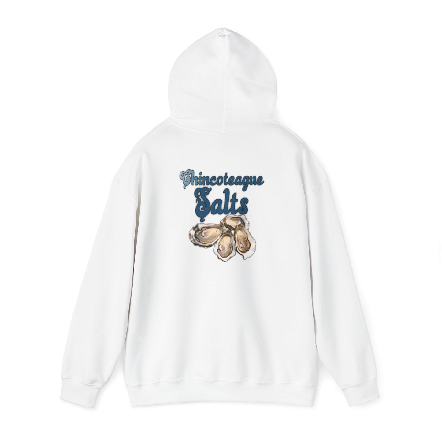 CI100 2024 Salts Back Heavy Blend™ Hooded Sweatshirt